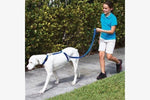 Instant Trainer